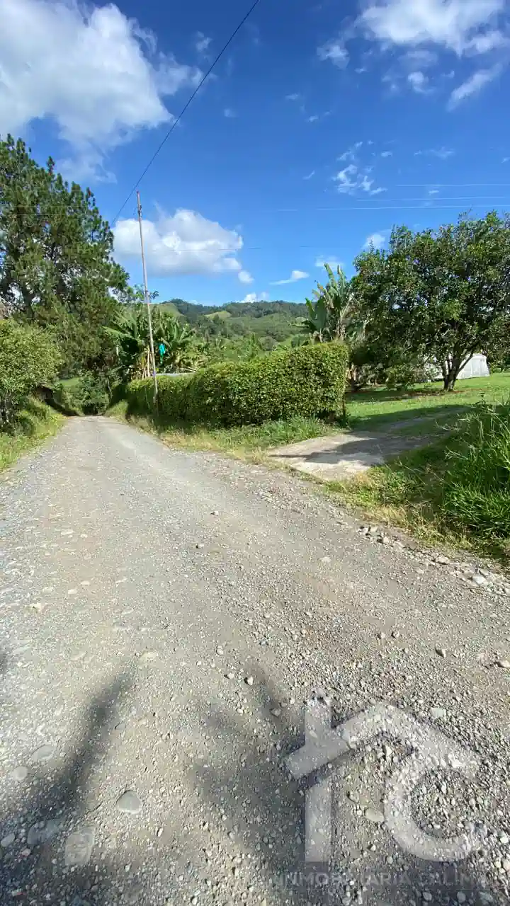 Finca Agrícola La Galaxia